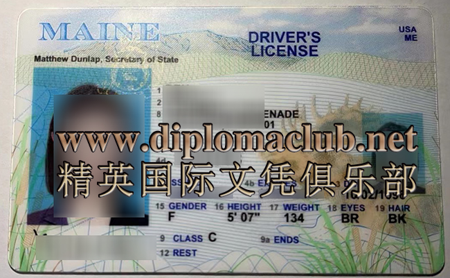 定做美国缅因州驾驶证，购买Maine driver，在线办理美国驾照