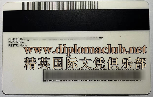 在线办理驾照