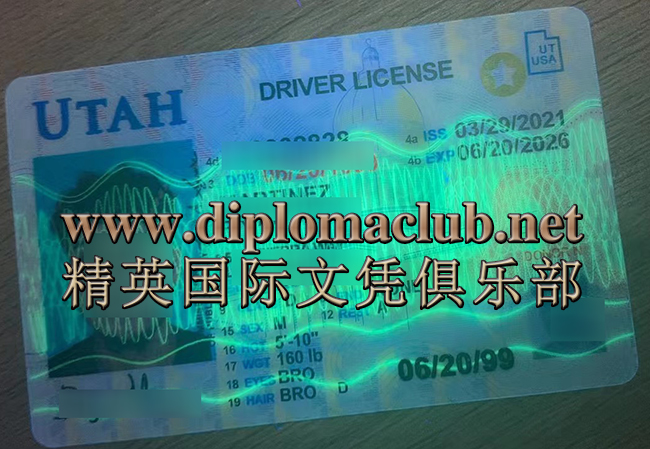 美国驾照购买