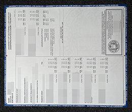加利福尼亚大学洛杉矶分校成绩单，UCLA Academic Transcript Online