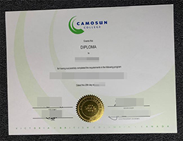 办理卡莫森学院毕业证, fake Camosun College degree generator