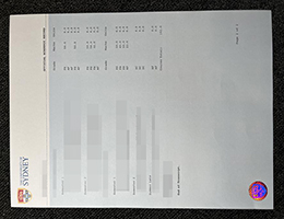 悉尼大学成绩单, University of Sydney Transcript Online
