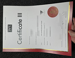 昆士兰职业技术学院证书, TAFE Queensland Certificate III