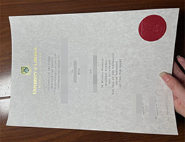加急办理利莫瑞克大学毕业证, buy fake University of Limerick degree