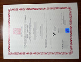 坎帕尼亚大学毕业证, Vanvitelli University Degree Online
