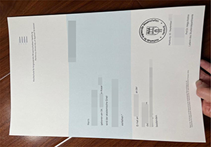 定制德国汉堡应用科技大学毕业证, 德国HAW学历认证, buy HAW diploma