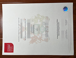 南威尔士大学毕业证, University of South Wales diploma