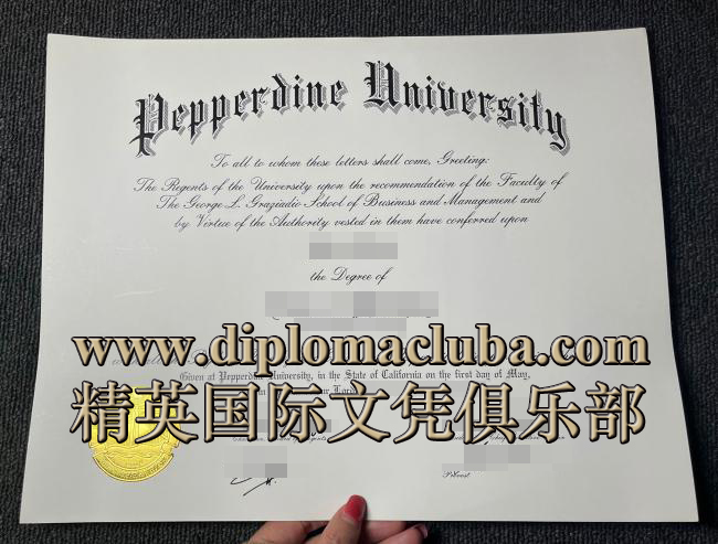 佩珀代因大学毕业证