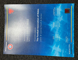 哪里可以买假欧足联教练证? buy fake UEFA B license Certificates