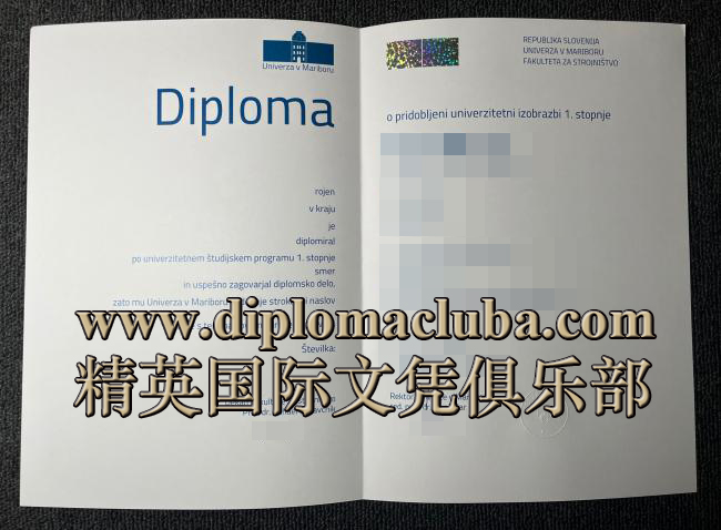 马里博尔大学毕业证