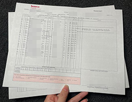 订购圣力嘉学院成绩单需要多少钱? fake Seneca College transcript