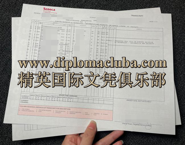 圣力嘉学院成绩单