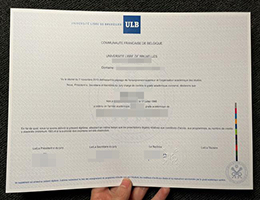 布鲁塞尔自由大学文凭, Université libre de Bruxelles Diploma