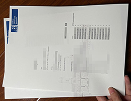 哪里能办德国汉诺威大学成绩单? buy a fake LUH academic transcript
