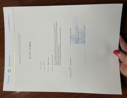 办理蒂尔堡大学文凭硕士毕业证, buy a Tilburg University diploma