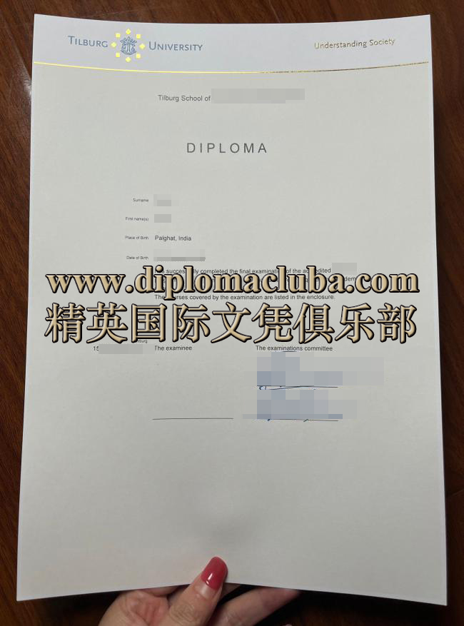 蒂尔堡大学文凭