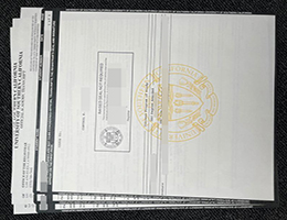 南加利福尼亚大学成绩单, University of Southern California Transcript