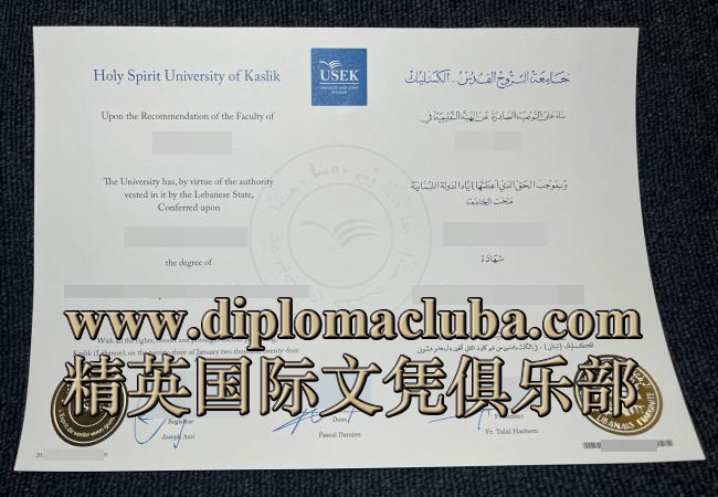 卡斯里克圣灵大学文凭