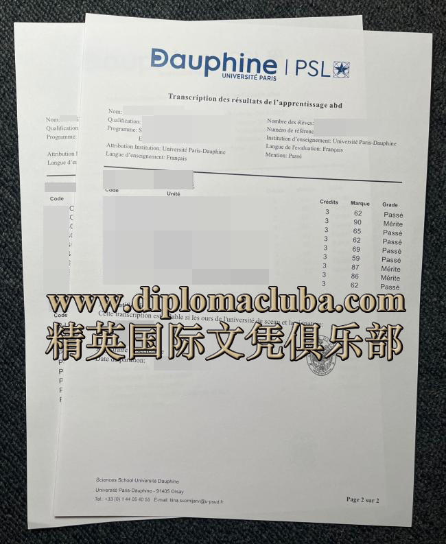 巴黎第九大学成绩单