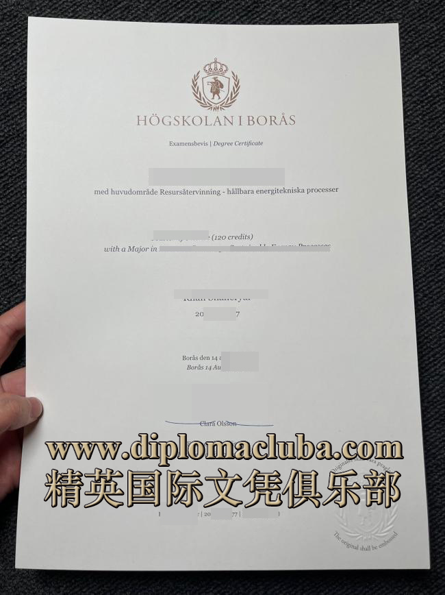 布罗斯大学毕业证