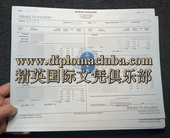 萨利文大学成绩单