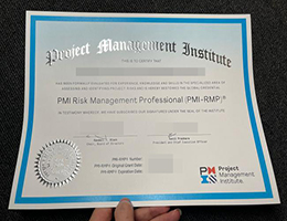 项目管理专业人员资格证书, PMP Certificate Replacement Online