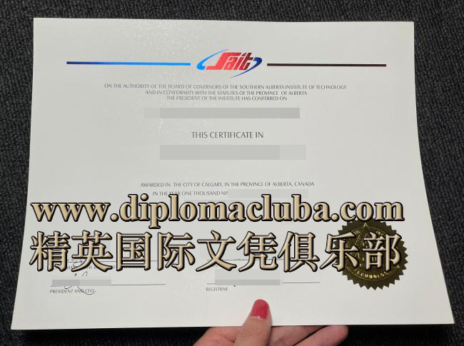 南阿尔伯塔省理工学院文凭
