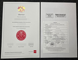 特许公认会计师公会证书, ACCA Membership Certificate Online
