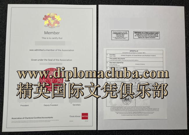 特许公认会计师公会证书