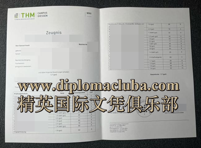 中部黑森工业大学成绩单