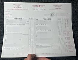 渥太华大学成绩单，University of Ottawa Academic Transcript