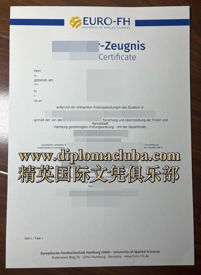 汉堡欧洲远程大学成绩单