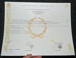 里昂二大毕业证, Université Lumière Lyon II Diploma Certificate