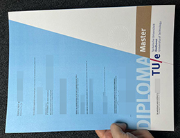 埃因霍芬理工大学文凭, Technische Universiteit Eindhoven Diploma