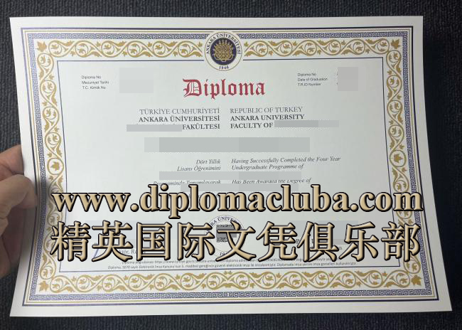 安卡拉大学文凭