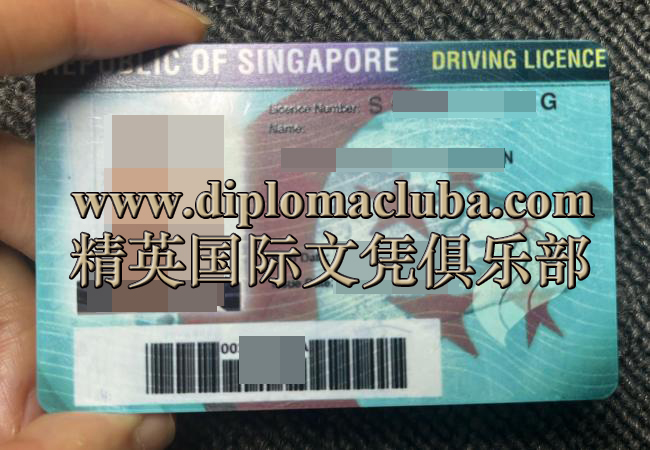 新加坡驾驶执照