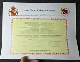米格尔·埃尔南德斯·德埃尔切大学文凭, Universidad Miguel Hernández de Elche Diploma