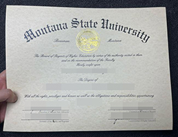 蒙大拿州立大学文凭, Montana State University Degree