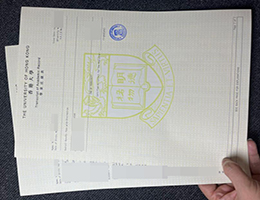 香港大学成绩单，University of Hong Kong transcript