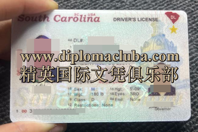 南卡罗来纳州驾照