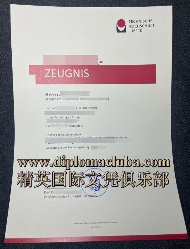 吕贝克应用技术大学成绩单
