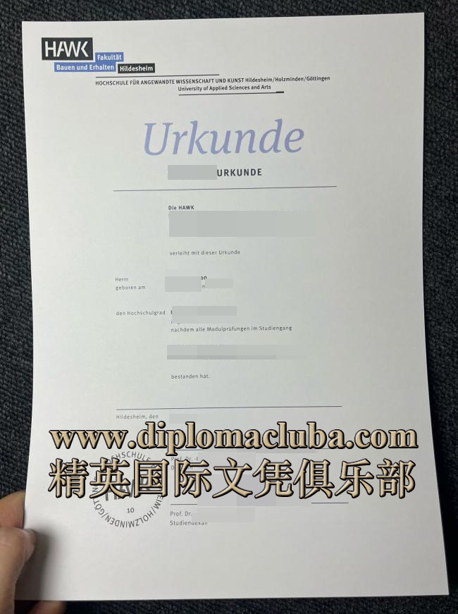 希尔德斯海姆-霍尔斯明登-哥廷根应用科学大学文凭