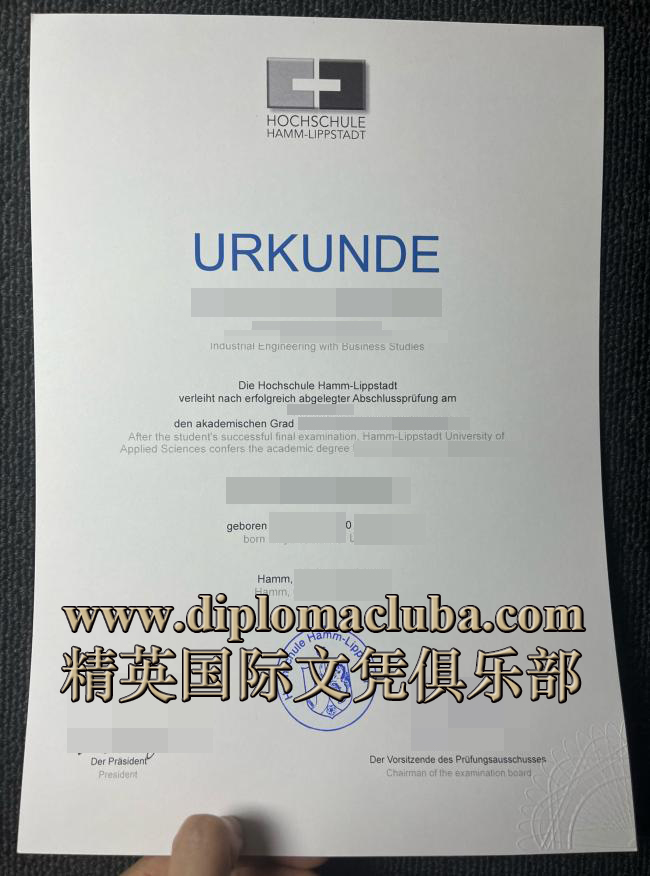 汉姆-利普斯塔特应用技术大学文凭