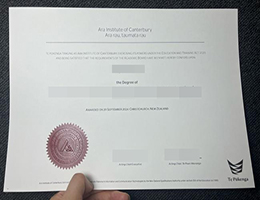 Ara坎特伯雷理工学院文凭, Ara Institute of Canterbury Degree