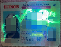 快速补办伊利诺伊州驾照 | 哪里买美国伊利诺伊州驾照ID | 如何购买定制伊利诺伊州驾照?