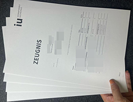 IU国际应用科学大学成绩单，IU Internationale Hochschule Zeugnis
