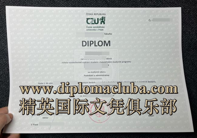 捷克生命科学大学文凭