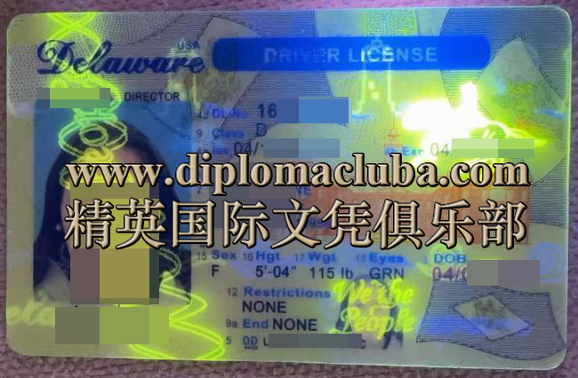 特拉华州驾照