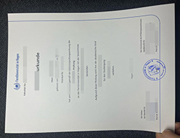 一比一定制哈根远程大学学位证 | 快速办理根远程大学学位证 | 高仿一比一Hagen毕业证书