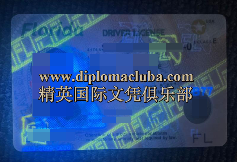 佛罗里达州驾照